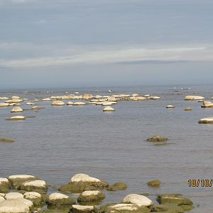 IMG_3395