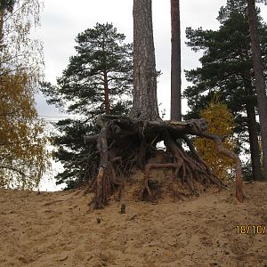IMG_3400