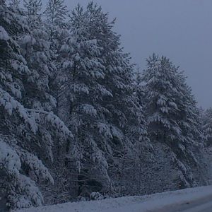 дорога