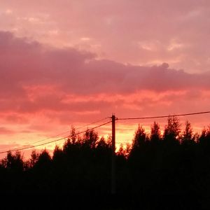 IMG_20160713_220229