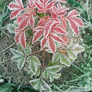 IMG_20161019_074718