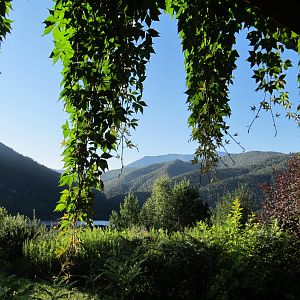 IMG_6973