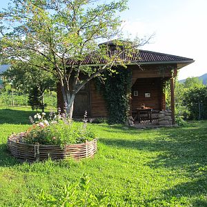 IMG_6971