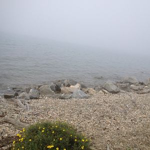 IMG_1743