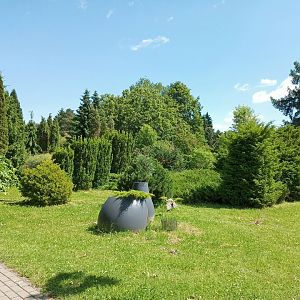 IMG_20250626_142317_921