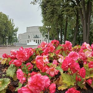 Минск: озеленение в городе