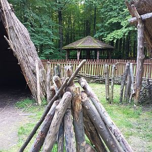 34 стоянка древнего человека