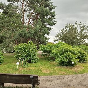 04 сад красивоцветущих растений