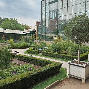 16 сад лекарственных трав