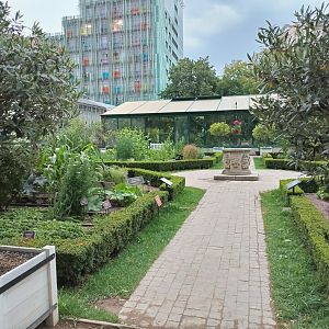16 сад лекарственных трав