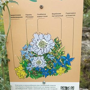 Кавказ