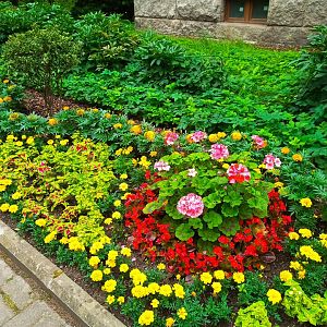 IMG_20250729_134640_680