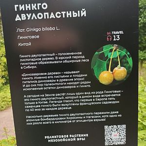 IMG_20250729_132438_237