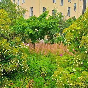 IMG_20250729_131853_261