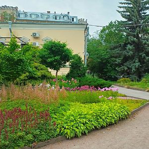 IMG_20250729_131037_840