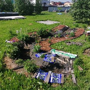 2022 июнь