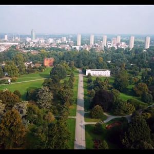 Screenshot_20260526_222952_com.yandex.browser