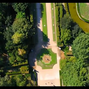 Screenshot_20260529_204503_com.yandex.browser