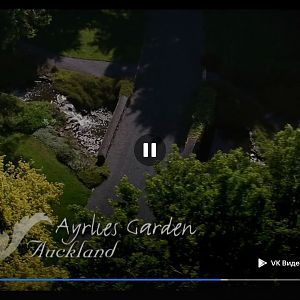 Screenshot_20260531_180120_com.yandex.browser