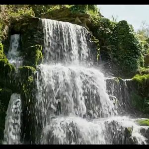 Screenshot_20260612_230734_com.yandex.browser