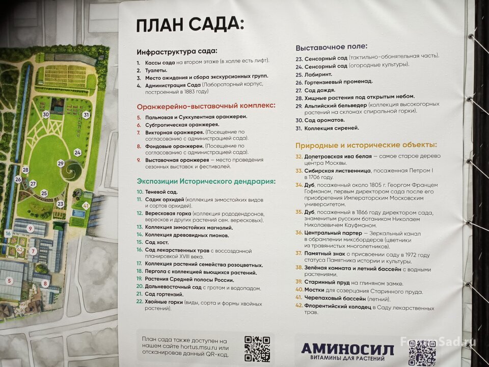 0 план сада