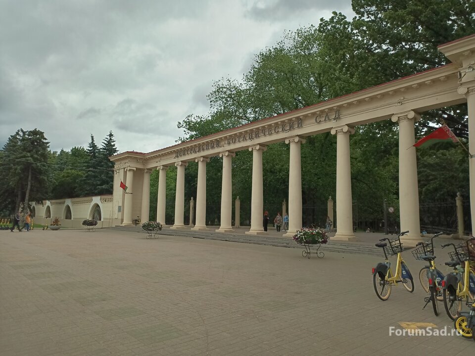 01 центральный вход