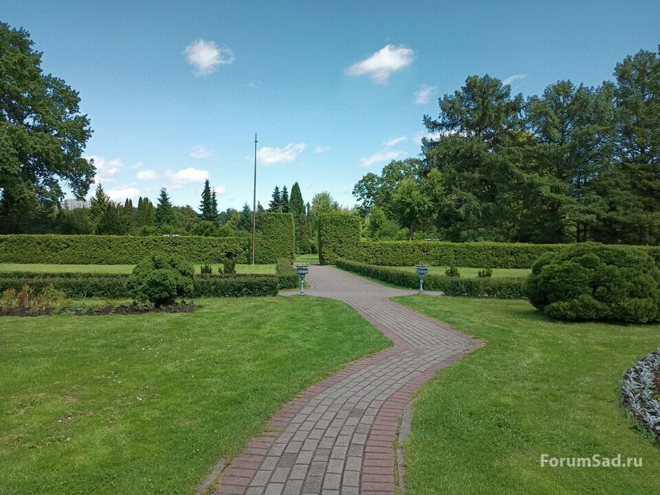 14 центральный партер