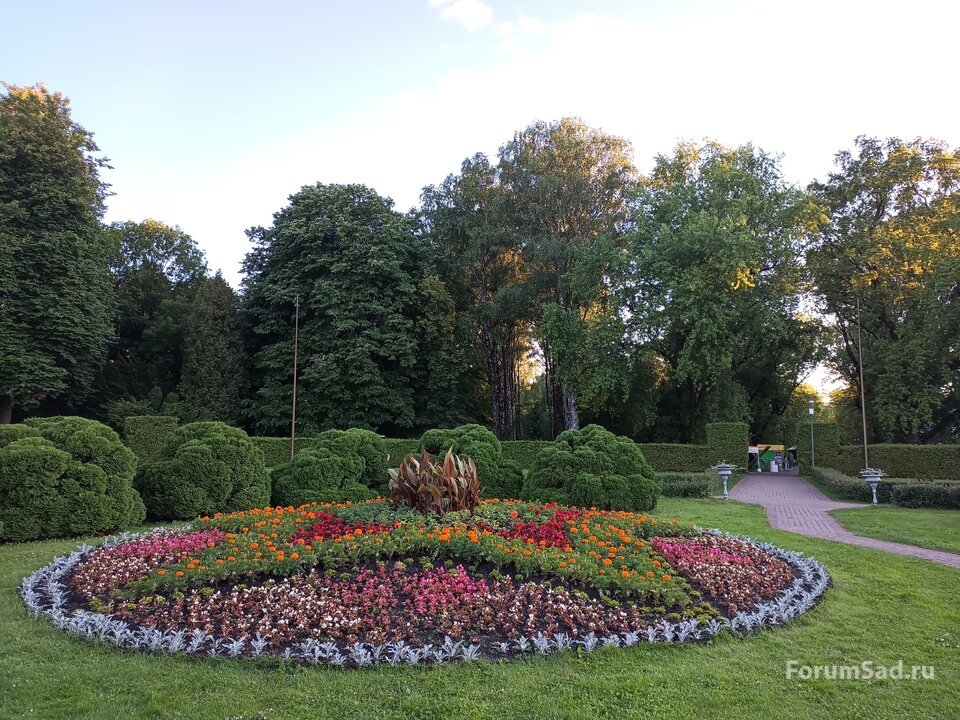 14 центральный партер