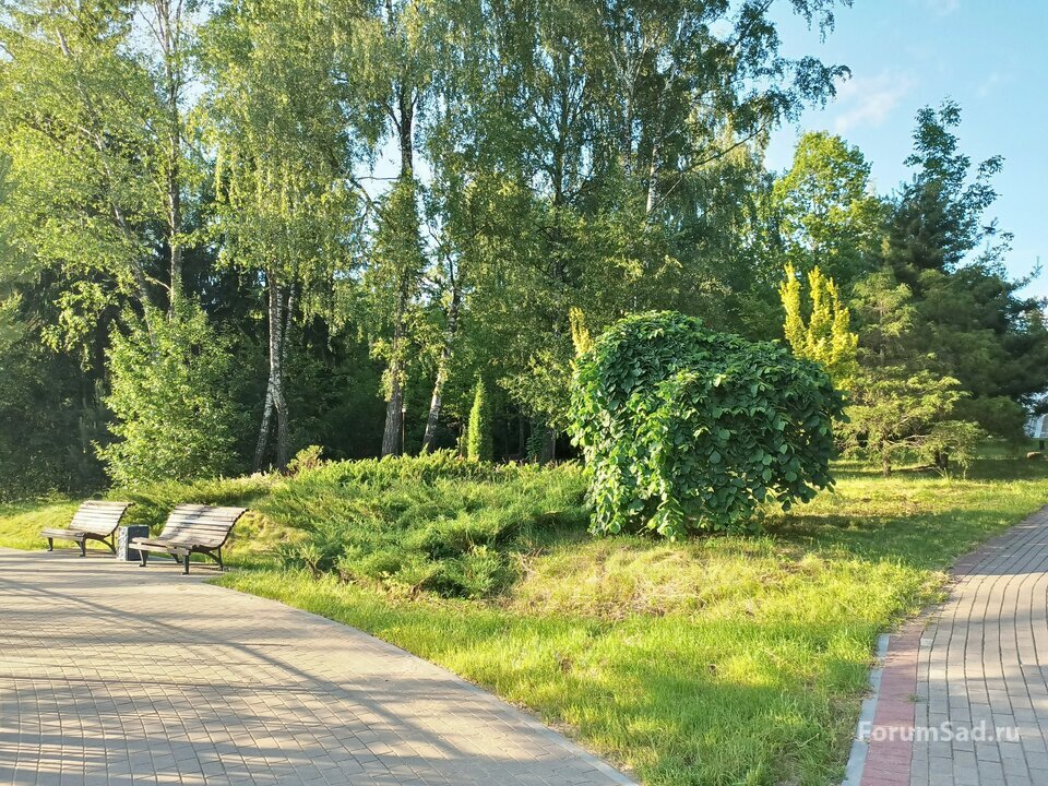 15 озерный комплекс