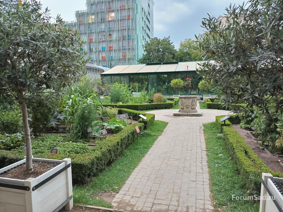 16 сад лекарственных трав