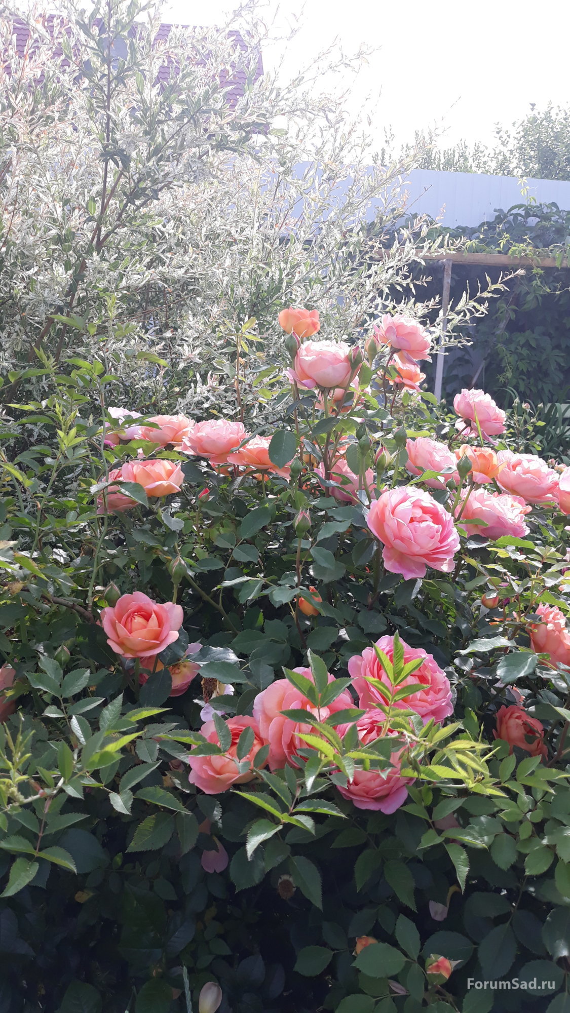 20190612_081905