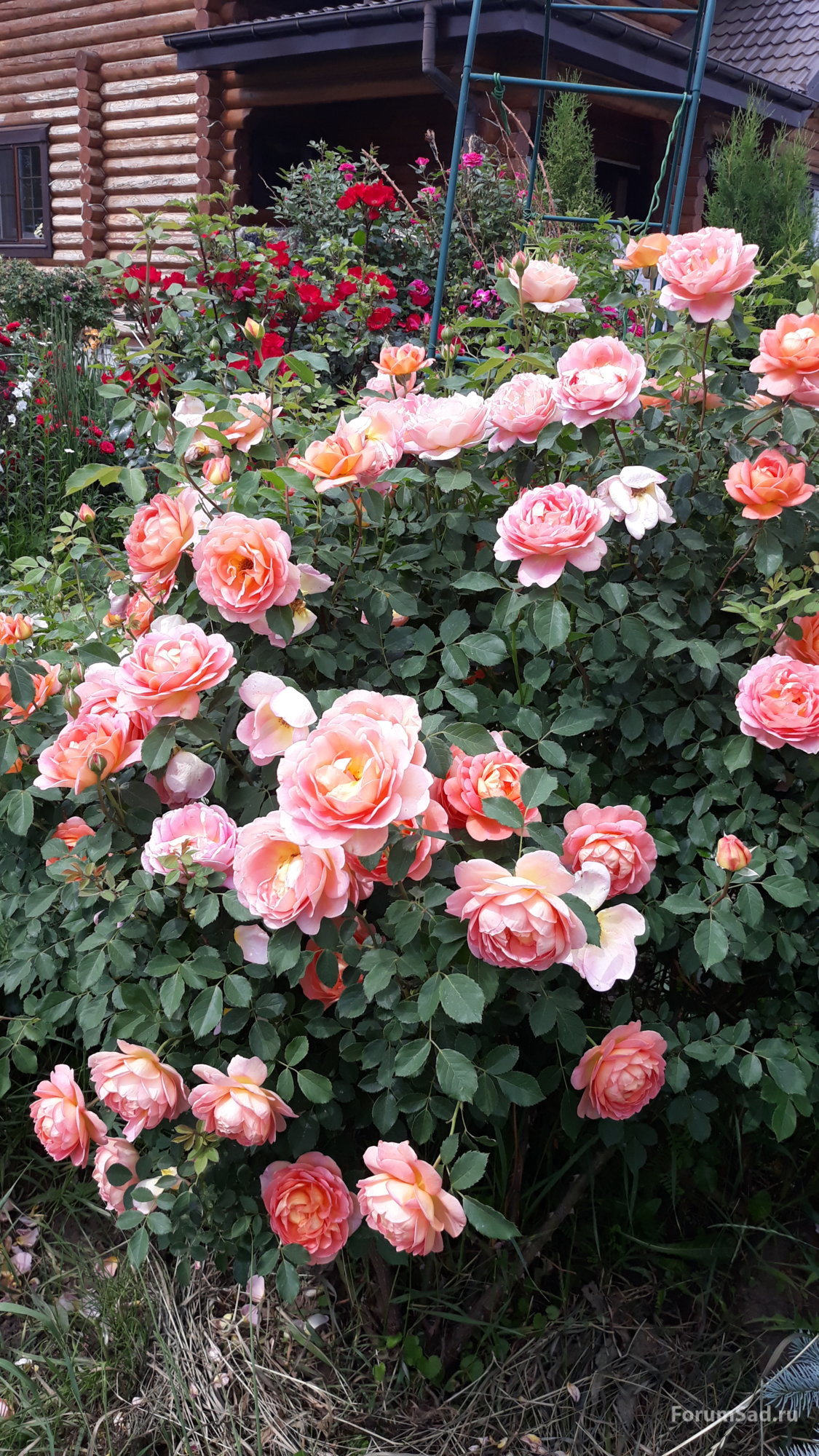 20190612_132039