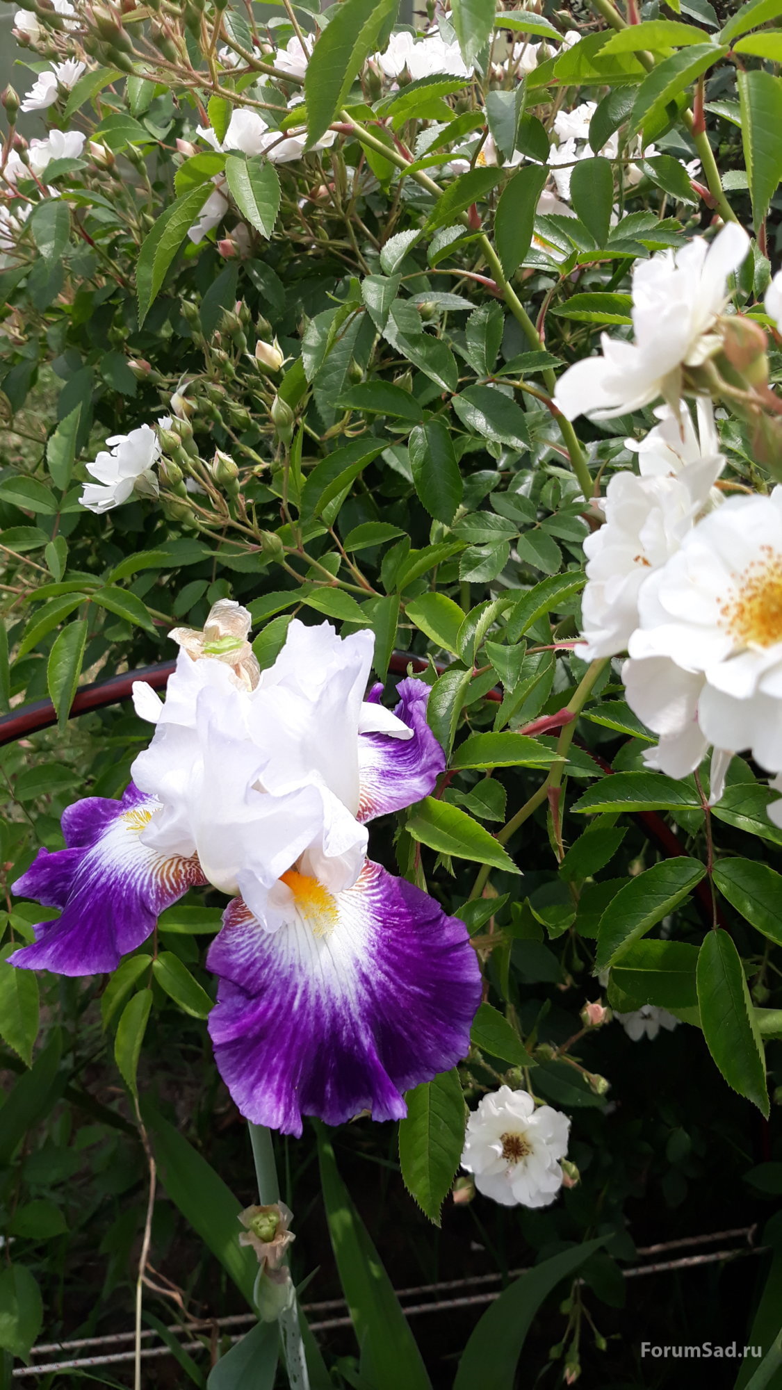 20190612_132126