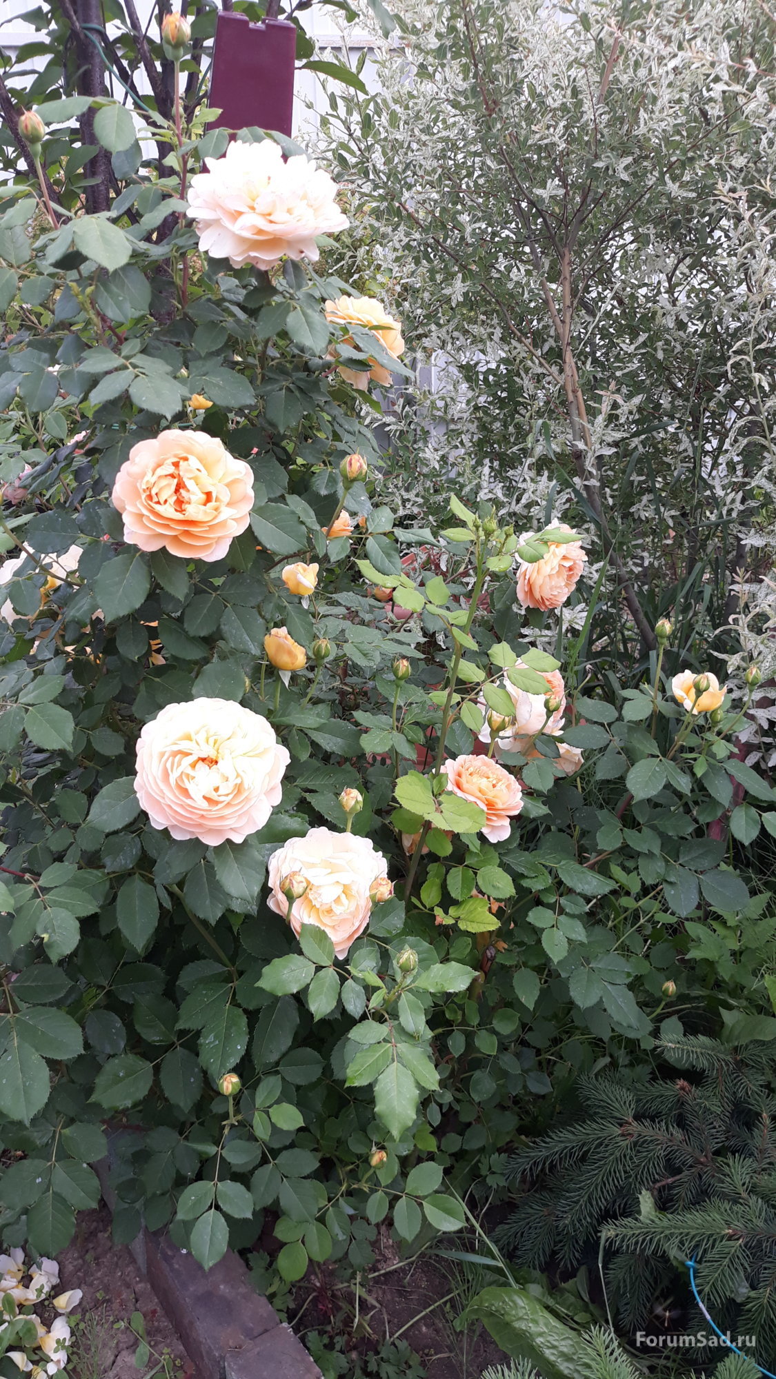 20190612_133112