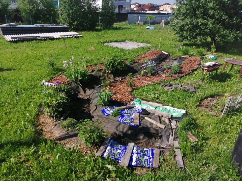 2022 июнь
