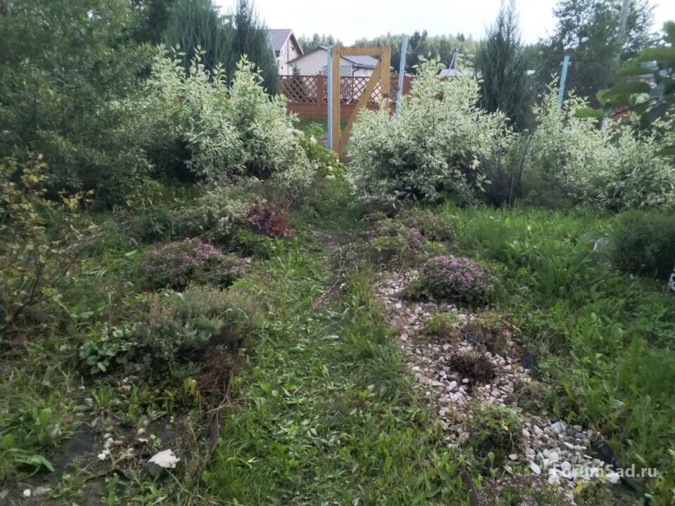 2024 б