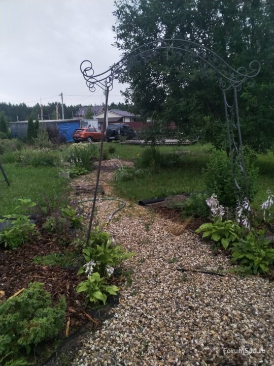 2024 г