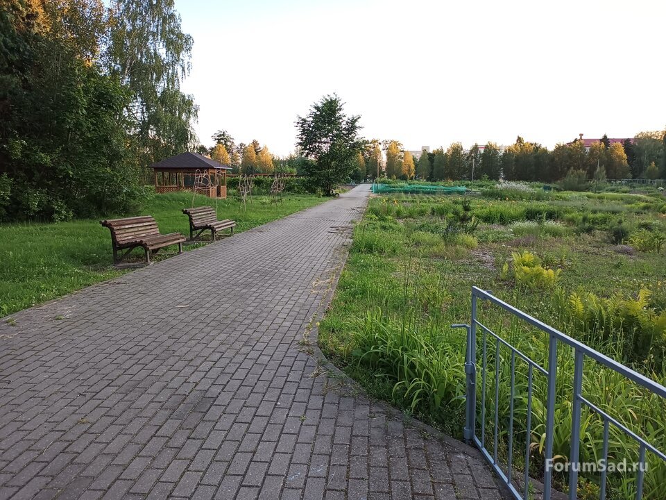 22 Аптекарский огород