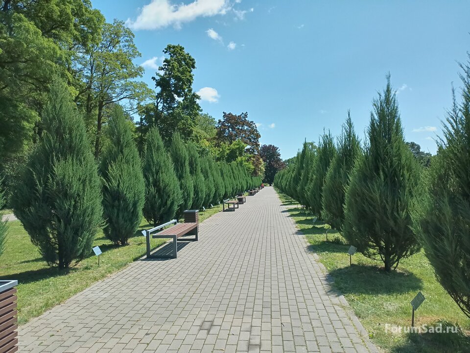 аллея космонавтов