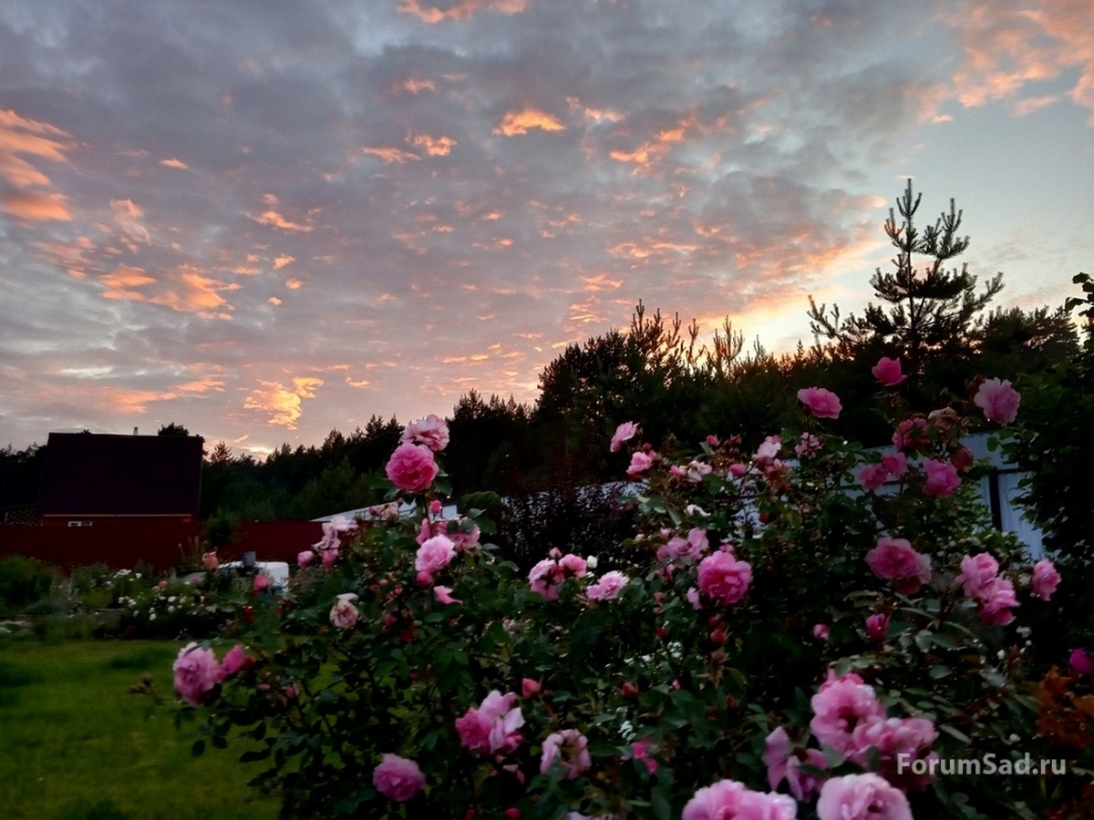 IMG_20190626_213533