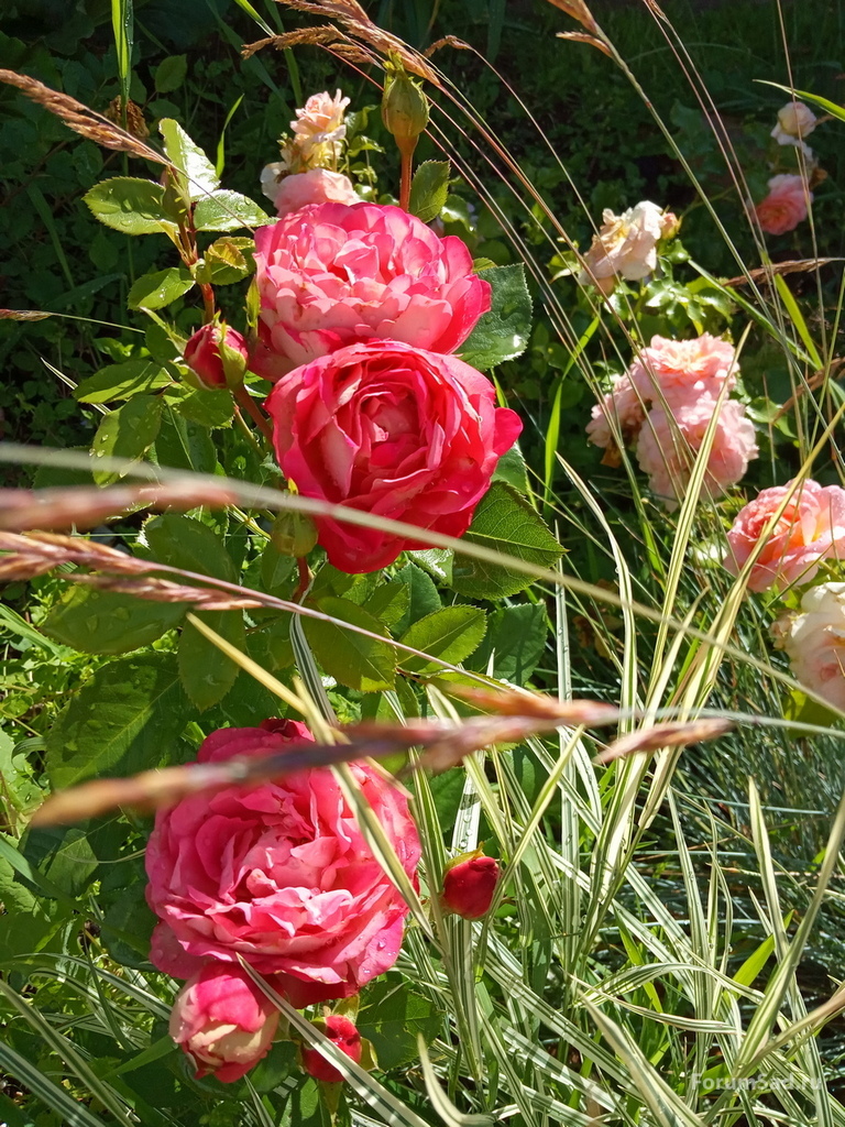 IMG_20190706_161229