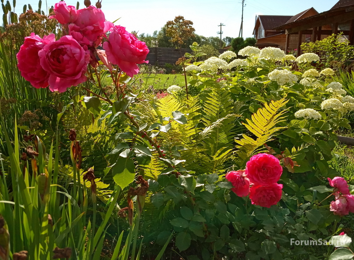 IMG_20190709_081058