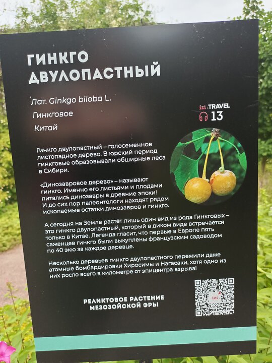 IMG_20250729_132438_237