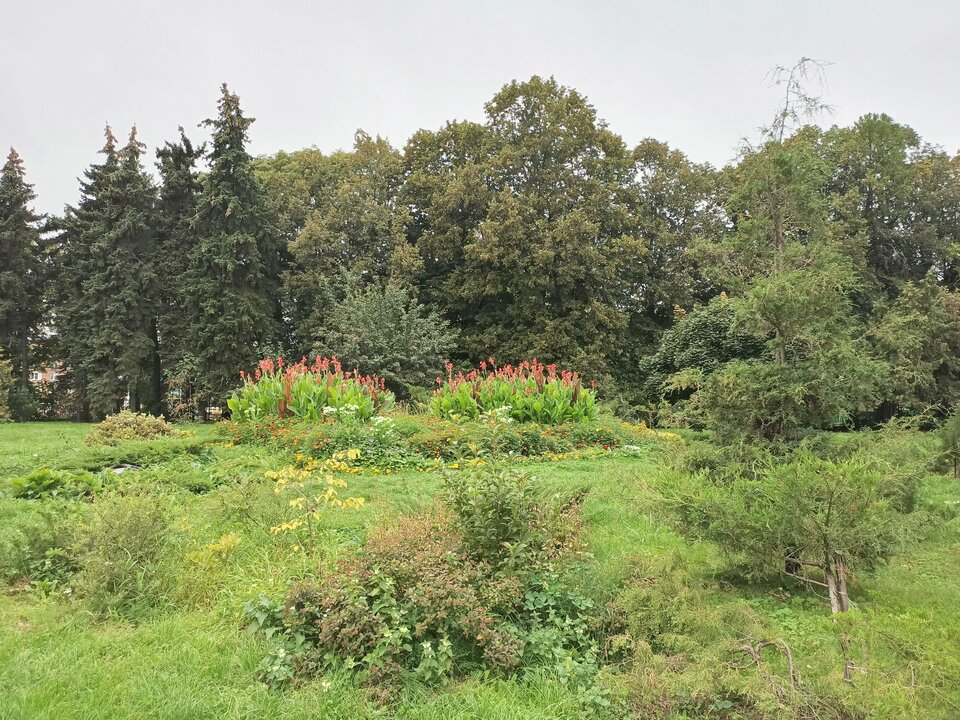 IMG_20250902_094052_593