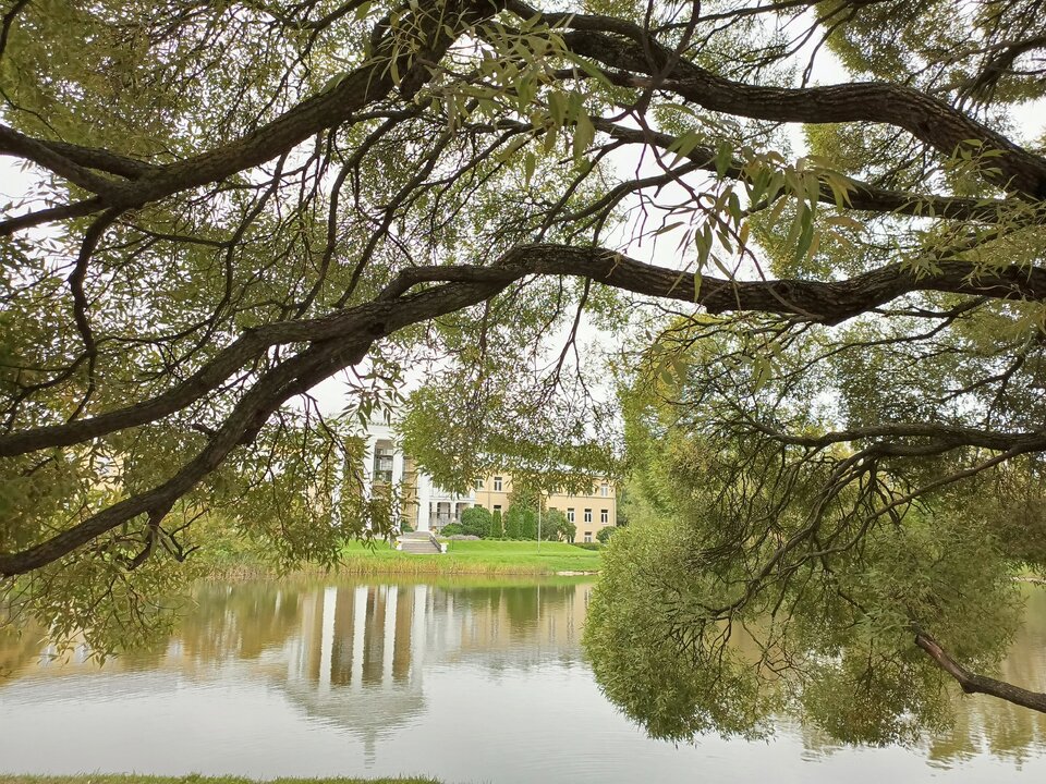 IMG_20250902_095039_042