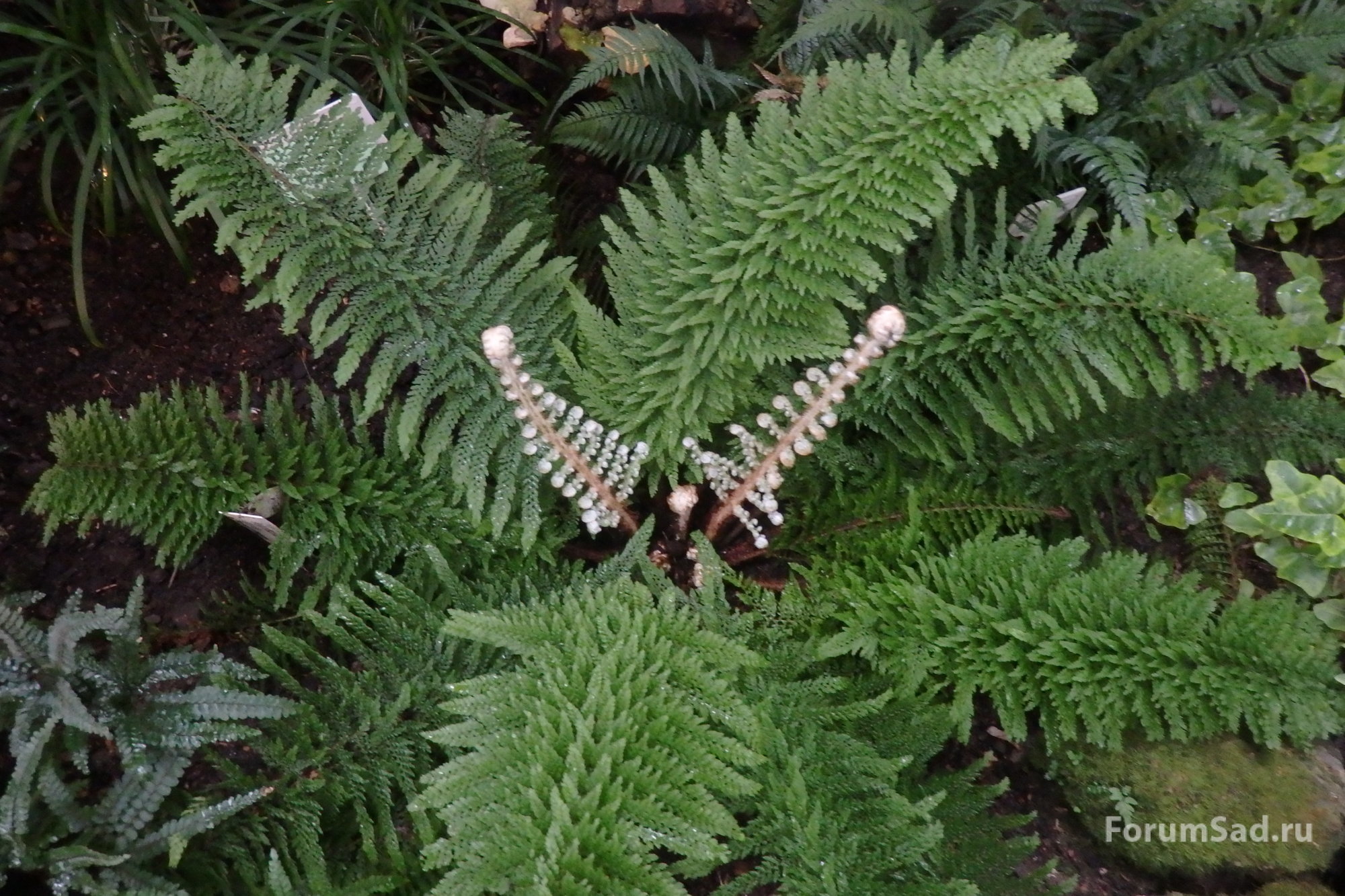 P4060015