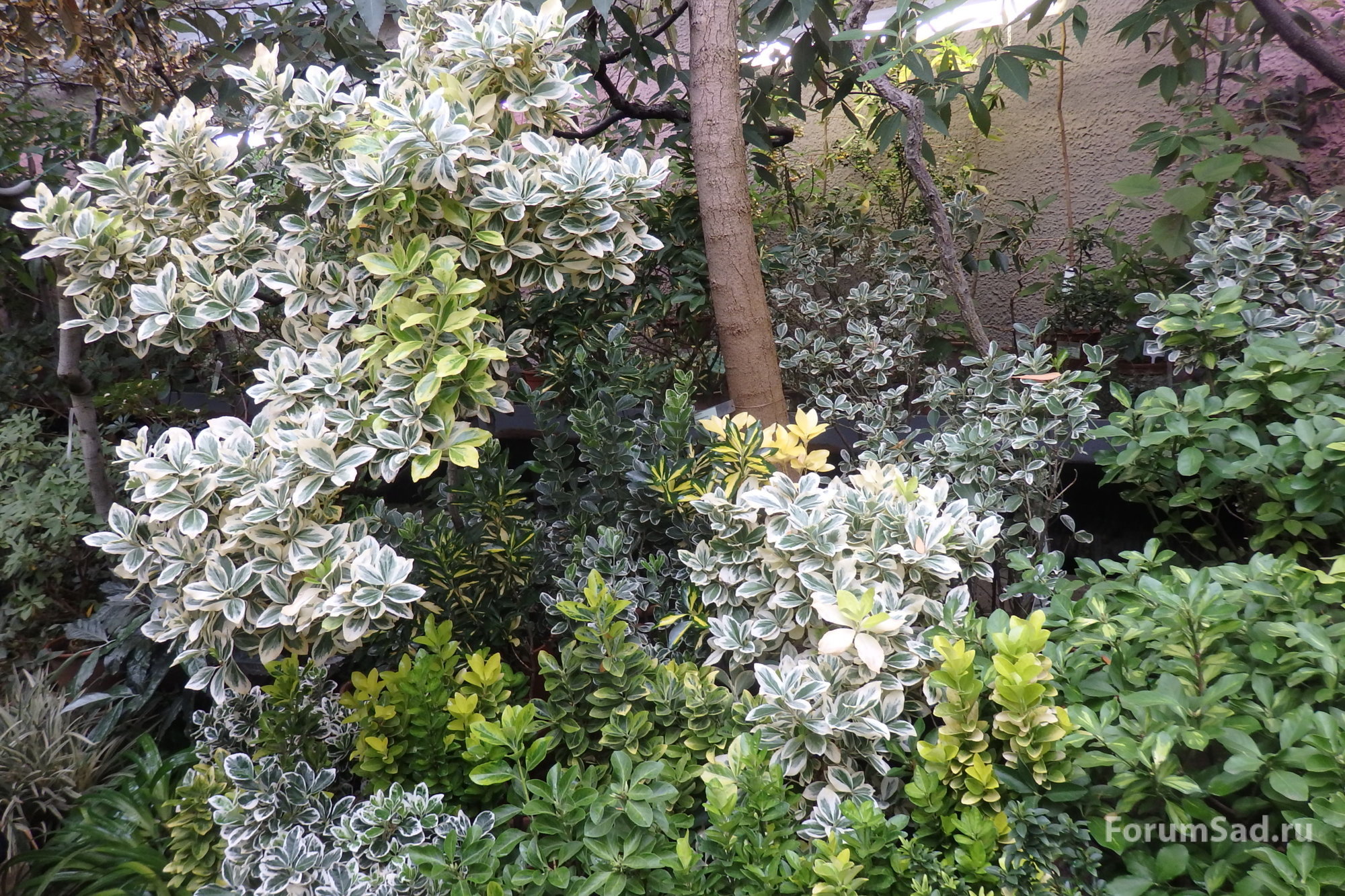 P4060056