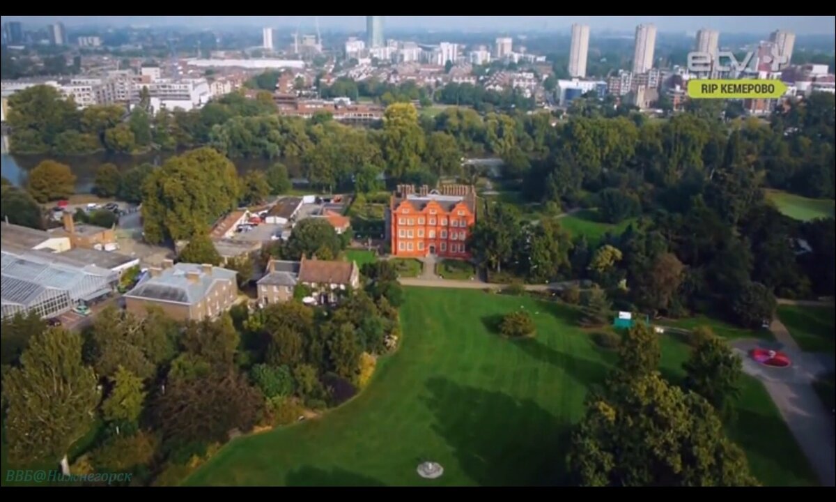 Screenshot_20260526_221053_com.yandex.browser