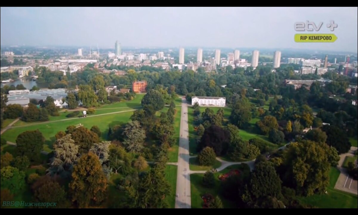 Screenshot_20260526_222952_com.yandex.browser