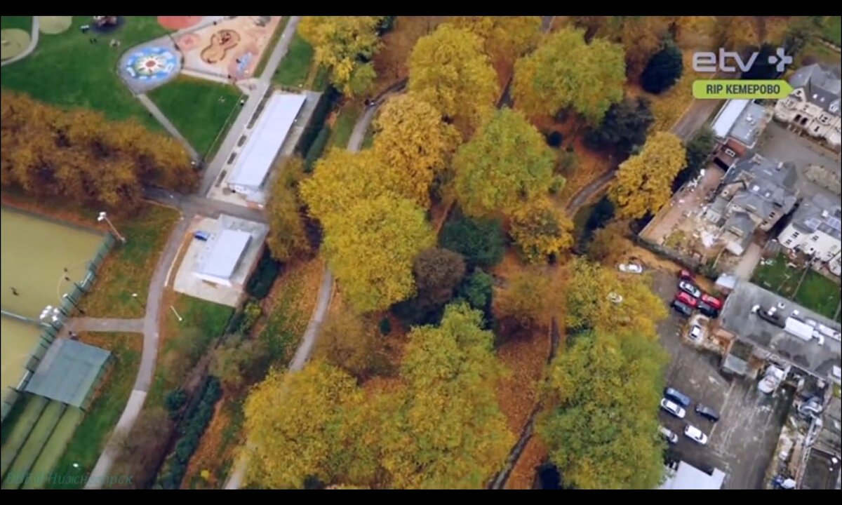 Screenshot_20260526_224940_com.yandex.browser